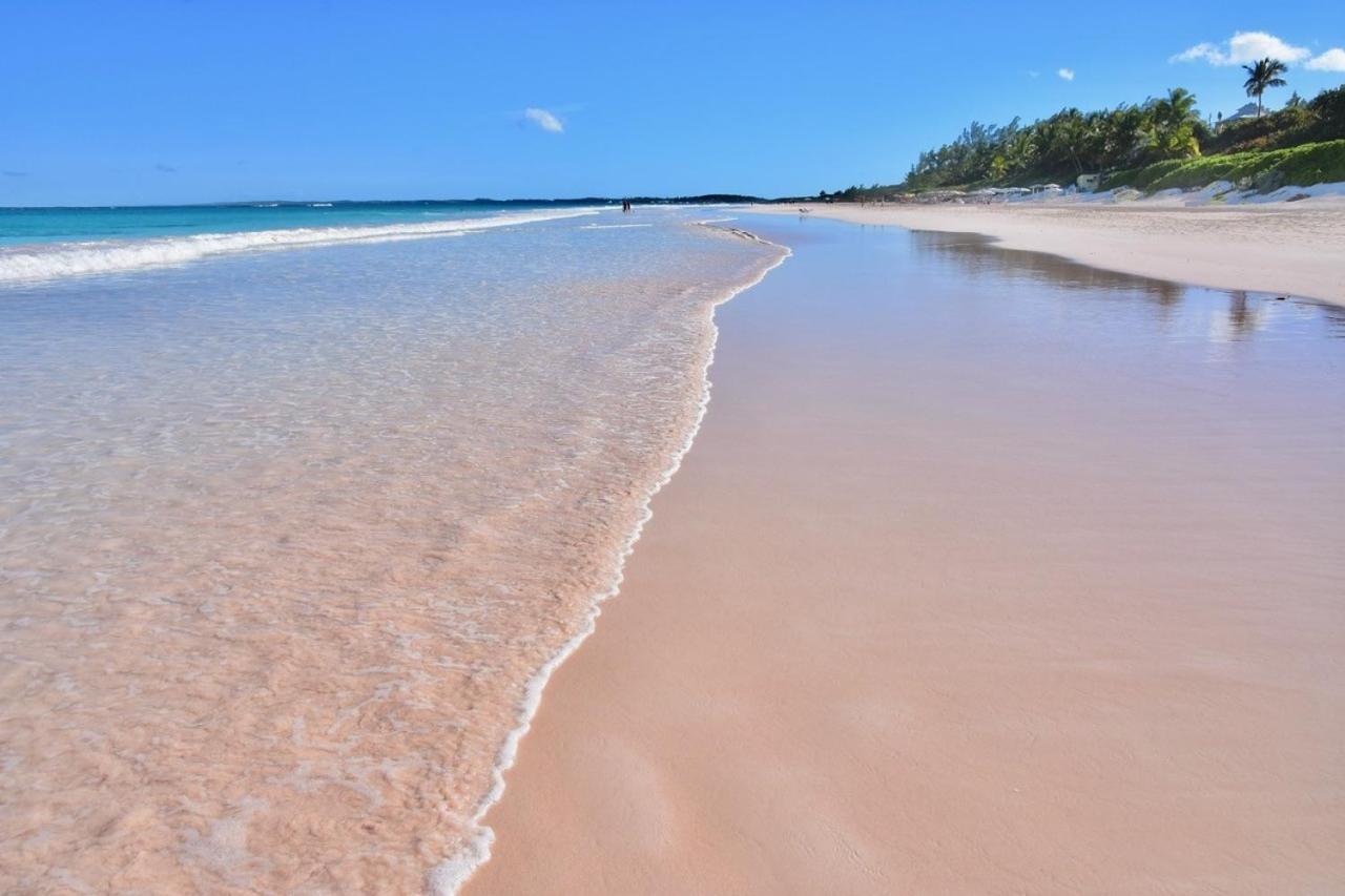 Conch Shell Harbour Island Home Dunmore Town Cameră foto